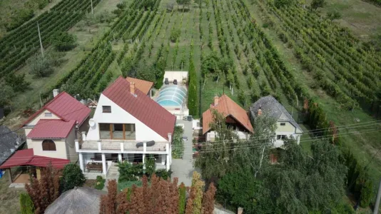 Будинок Продажа 99128 Vinica SK