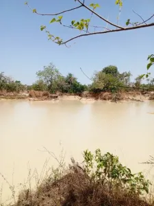 Земля під забудову Продажа 0000 Brikama Gambia  DE